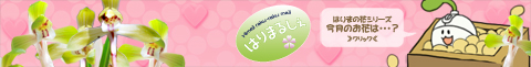 2012年2月-春蘭