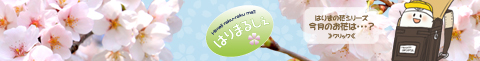 2012年4月-桜