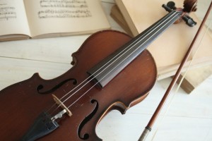 violin le pont