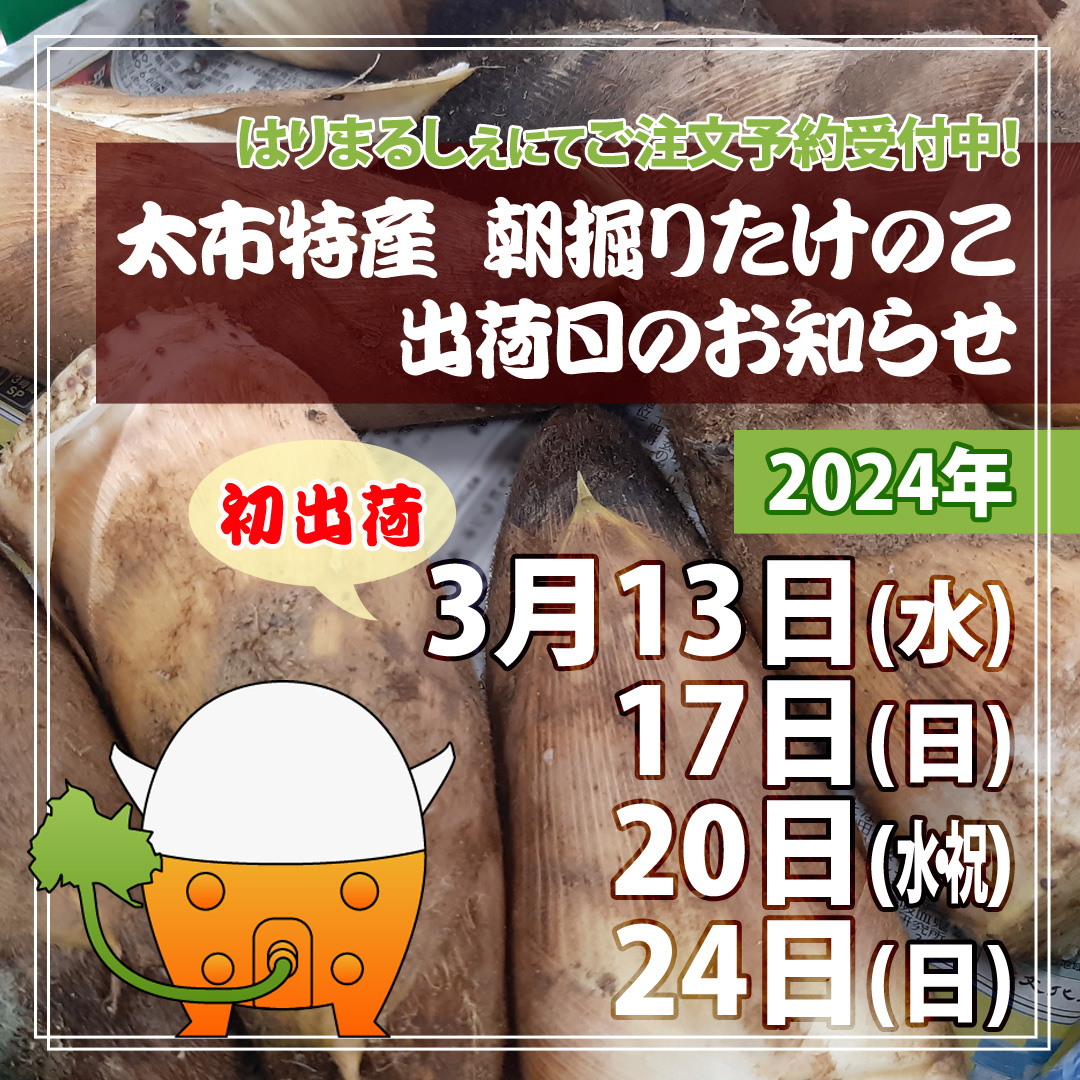 ☆祝☆2024「太市特産 朝掘りたけのこ」初出荷日決定 - はりま
