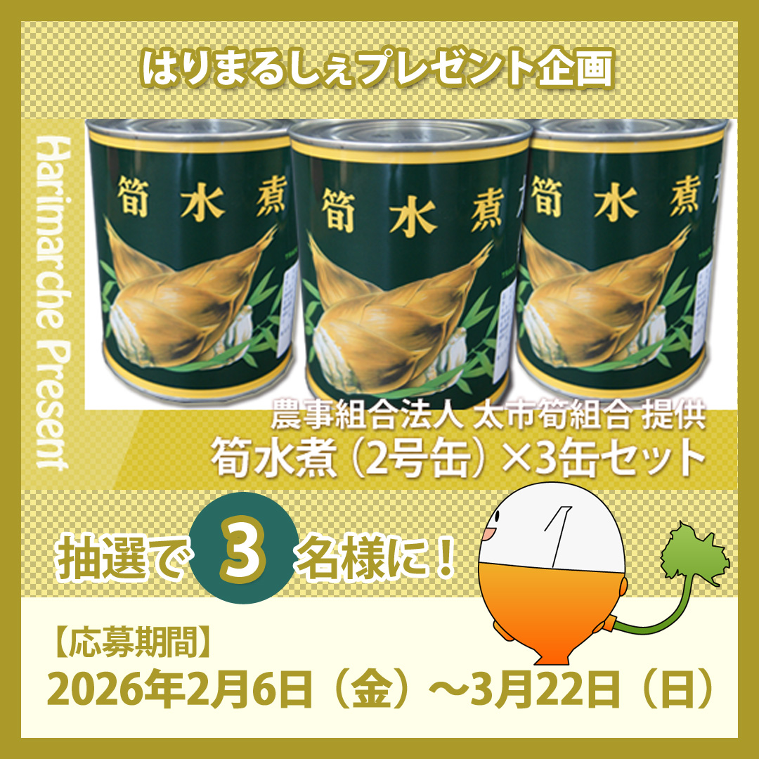 新プレゼント】太市筍組合「筍水煮（2号缶）×3缶セット」 - はりまうす