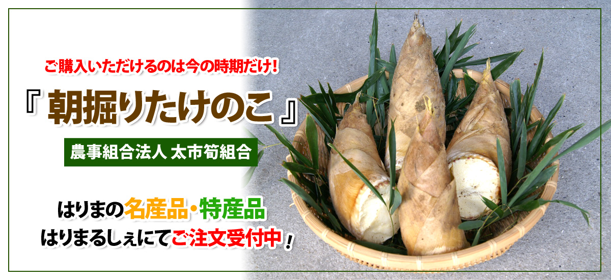 数量限定！売切れ次第終了！農事組合法人 太市筍組合「太市特産　朝掘りたけのこ」はりまるしぇにてご注文受付中！