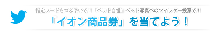 Twitterで指定ワードをつぶやいて！『ペット自慢』ペット写真へのツイッター投票で！「イオン商品券」を当てよう