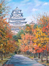 姫路城の秋　F20