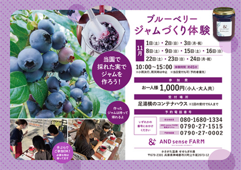 AND sense FARM「ブルーベリージャムづくり体験」 