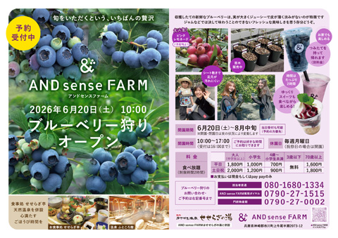 AND sense FARM 「ブルーベリー狩り」