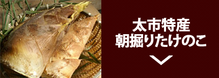 太市特産の朝掘りたけのこはこちら