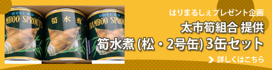 はりまるしぇプレゼント企画　太市筍組合 提供「筍水煮（松・2号缶）3缶セット」