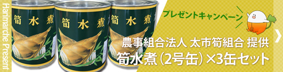 はりまるしぇプレゼントキャンペーン　農事組合法人 太市筍組合 提供「筍水煮（2号缶）×3缶セット」