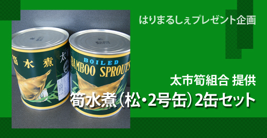 はりまるしぇプレゼント企画　太市筍組合 提供「筍水煮（松・2号缶）2缶セット」