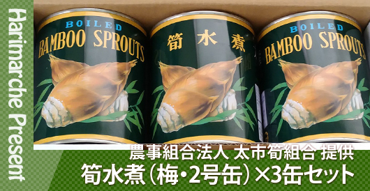 はりまるしぇプレゼント企画　農事組合法人 太市筍組合 提供「筍水煮（梅・2号缶）×3缶セット」プレゼント
