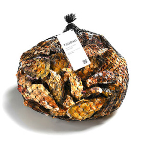 殻付（冷蔵／生食用）